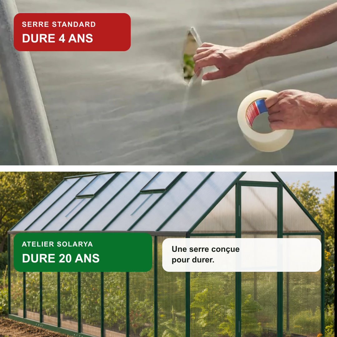 Serre de jardin verte 7,52 m² en polycarbonate | Atelier Solarya