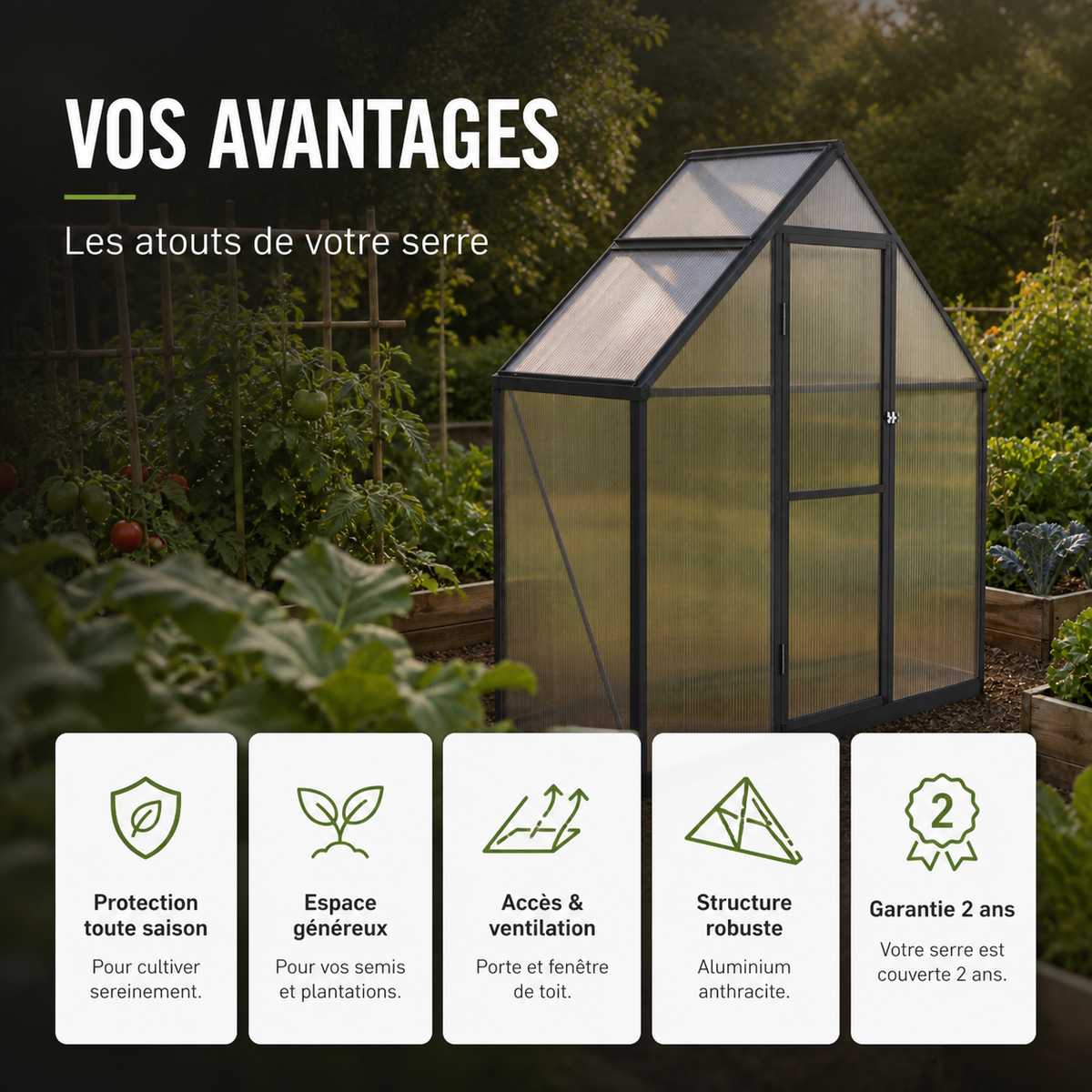 Serre de jardin 169 x 58 x 195 cm anthracite en aluminium | Atelier Solarya